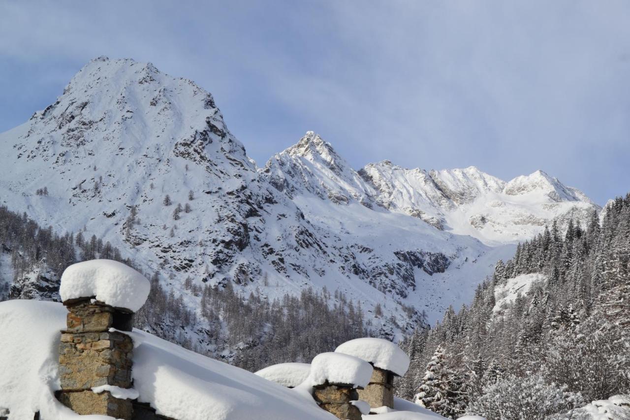 La Mura' - Il Vostro Posto Nel Gran Paradiso Ronco Canavese Exterior foto