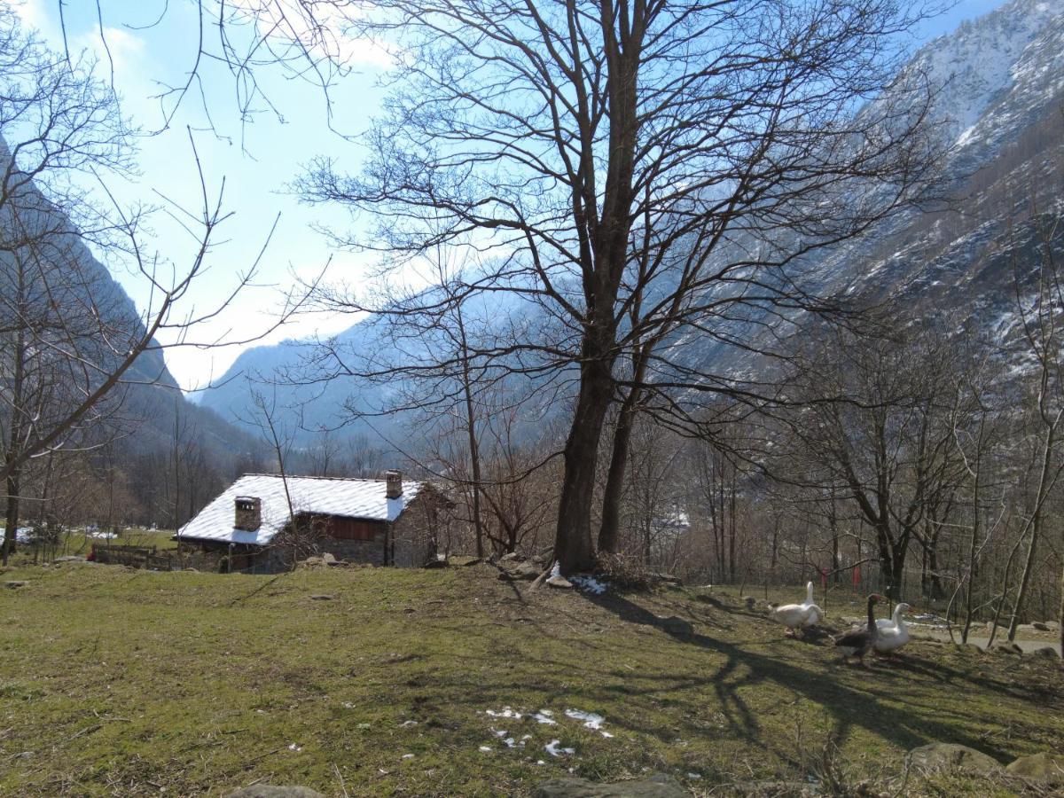 La Mura' - Il Vostro Posto Nel Gran Paradiso Ronco Canavese Exterior foto