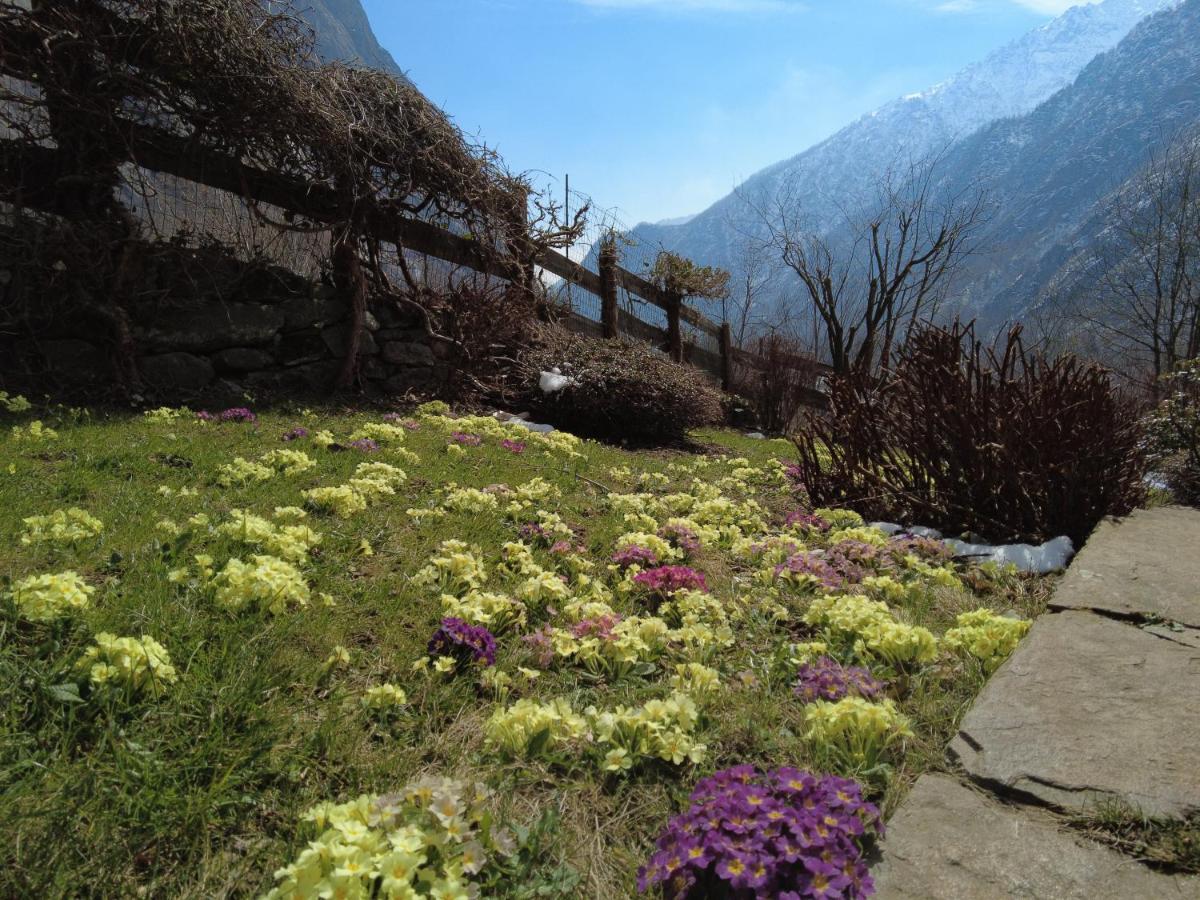 La Mura' - Il Vostro Posto Nel Gran Paradiso Ronco Canavese Exterior foto